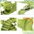 2f722c696c587f8803c9df32a5f25b8a.webp