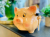 a6600362ee1f59ef3d4710cfdaba6e40.png