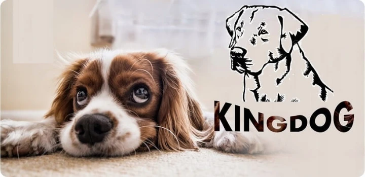 ad3bb0c38e6f292733792b6996b469c3.jpg