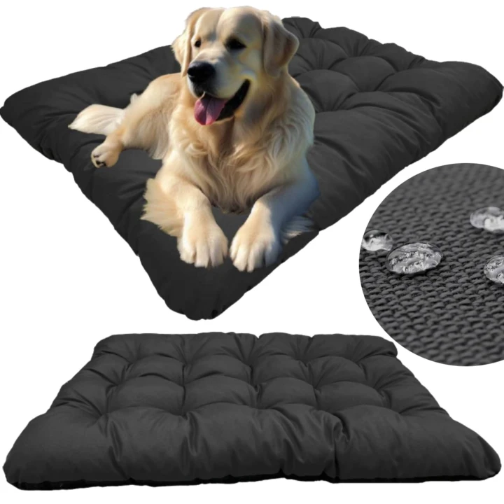 58541b919eb5b7f83028b3d89671e5e3.jpg