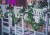 56cccbff1fefcea90ae85a768b3cf399.jpg