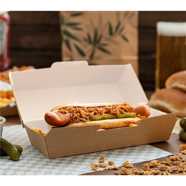 pol_pl_Lunch-box-termiczny-Hot-Dog-23-2-x-9-x-6-3-cm-50-szt-1250_1.jpg