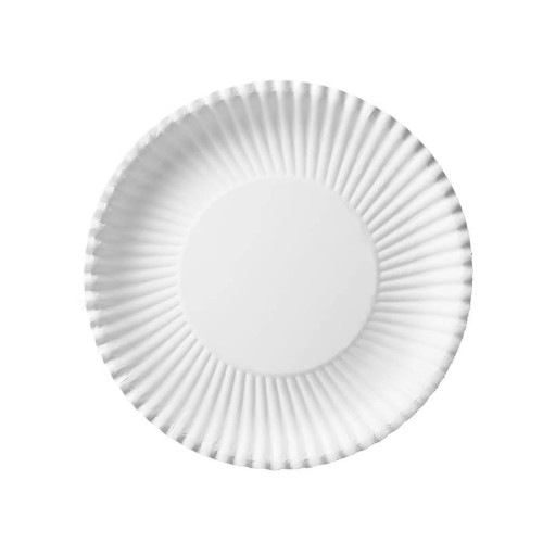 pol_pl_Talerz-papierowy-bialy-okragly-24-cm-100-szt-1829_1.jpg