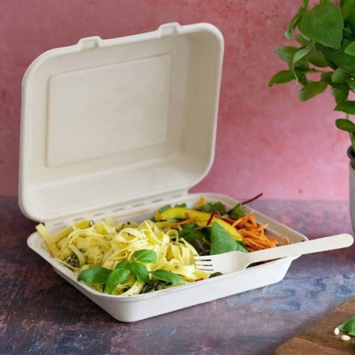 pol_pl_Menubox-z-trzciny-cukrowej-niedzielony-naturalny-24-x-20-7-x-6-9-cm-50-szt-2120_2.jpg