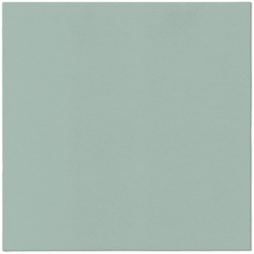 pol_pl_Serwetki-Premium-Airlaid-zielone-1-4-40-x-40-cm-50-szt-2269_1.jpg
