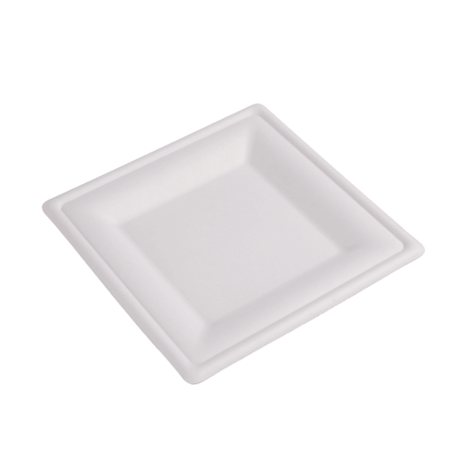 pol_pl_Talerz-z-trzciny-cukrowej-20-x-20-cm-50-szt-2428_1.png