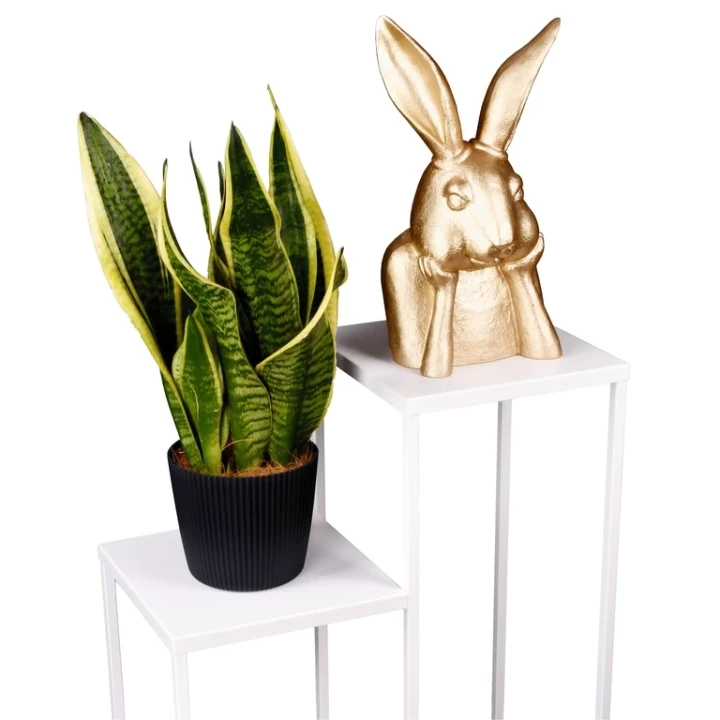 thumb_xlarge_2ede3d9edb0167f78adbebbfc970eae8-jpg.webp