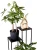 thumb_xlarge_c94c1b8fe8cfc34b10da91fe4d2ebfbc-jpg.webp