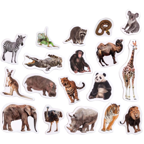 pol_pl_ZESTAW-MAGNESOW-ZOO-DZIKIE-ZWIERZETA-REALISTYCZNY-DESIGN-SOLIDNE-WYKONANIE-MV6032-02-679_2.png