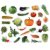 pol_pl_ZESTAW-MAGNESOW-WARZYWA-ZDROWE-ODZYWIANIE-JASNE-KOLORY-JEDZENIE-MV-6032-12-676_2.png