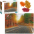 pol_pl_PUZZLE-JESIENNY-LAS-1000-ELEMENTOW-DO-ULOZENIA-KOLOROWY-OBRAZ-DLA-DZIECI-732_1.png