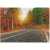 pol_pl_PUZZLE-JESIENNY-LAS-1000-ELEMENTOW-DO-ULOZENIA-KOLOROWY-OBRAZ-DLA-DZIECI-732_2.png