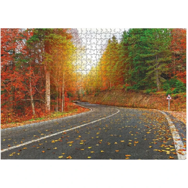 pol_pl_PUZZLE-JESIENNY-LAS-1000-ELEMENTOW-DO-ULOZENIA-KOLOROWY-OBRAZ-DLA-DZIECI-732_2.png
