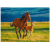 pol_pl_PUZZLE-NAUKA-ZREBAKA-1000-ELEMENTOW-DO-ULOZENIA-PIEKNY-OBRAZ-KON-I-ZREBAK-733_2.png