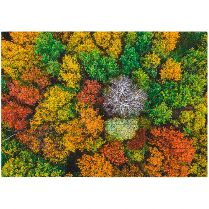 pol_pl_PUZZLE-WIOSKA-DZEMRONIA-UKRAINA-1000-ELEMENTOW-DO-ULOZENIA-KOLOROWY-OBRAZEK-735_2.png