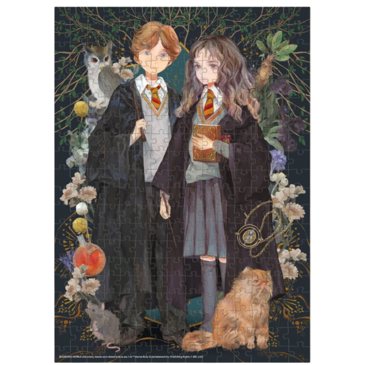 pol_pl_Puzzle-Harry-Potter-Hermiona-I-Ron-Ukladanka-300-Elementow-Czarodzieje-200499-13287_2.png