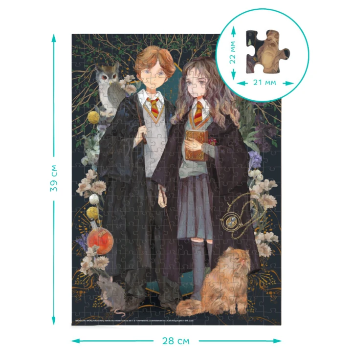 pol_pl_Puzzle-Harry-Potter-Hermiona-I-Ron-Ukladanka-300-Elementow-Czarodzieje-200499-13287_3.png