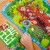 pol_pl_GRA-EDUKACYJNA-PUZZLE-DETEKTYW-LESNA-PRZYGODA-ZWIERZETA-LUPA-ROTER-KAFER-56_3.jpg