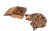 pol_pl_PUZZLE-DREWNIANE-UKLADANKA-PIESEK-WIERNY-SIRKO-PuA3-03519-178_5.jpg