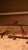 pol_pl_PUZZLE-DREWNIANE-UKLADANKA-LEW-MALY-TYGRYS-SIMBA-PuzA4-01752-219_6.jpg
