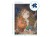 pol_pl_Puzzle-z-motywem-Harry-Potter-3w1-ilosc-elementow-150-250-350-DODO-200574-20356_2.jpg